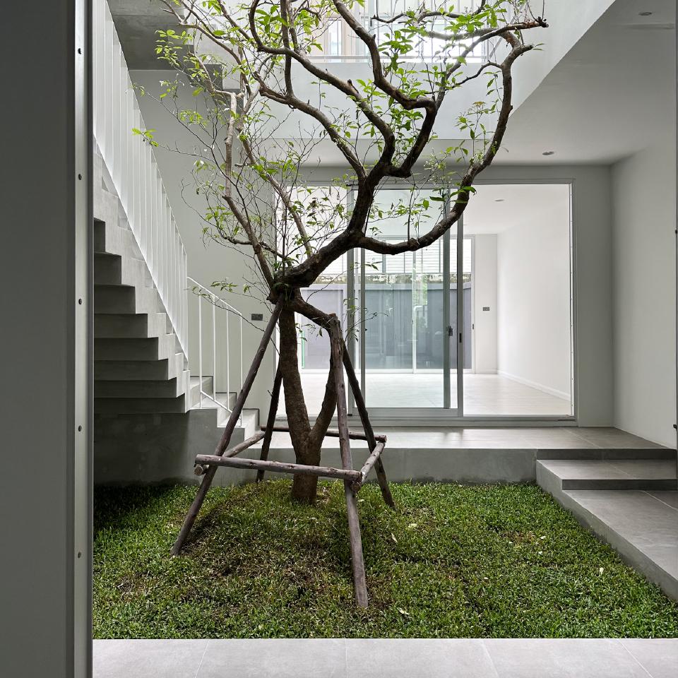 การออกแบบสวนกลางบ้าน