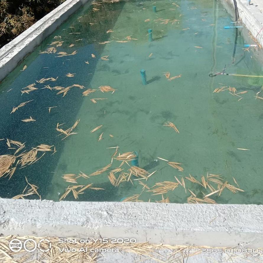 เขาใหญ่